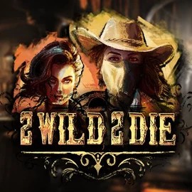 Play the 2 Wild 2 Die slot by Hacksaw Gaming on Casino Bossy